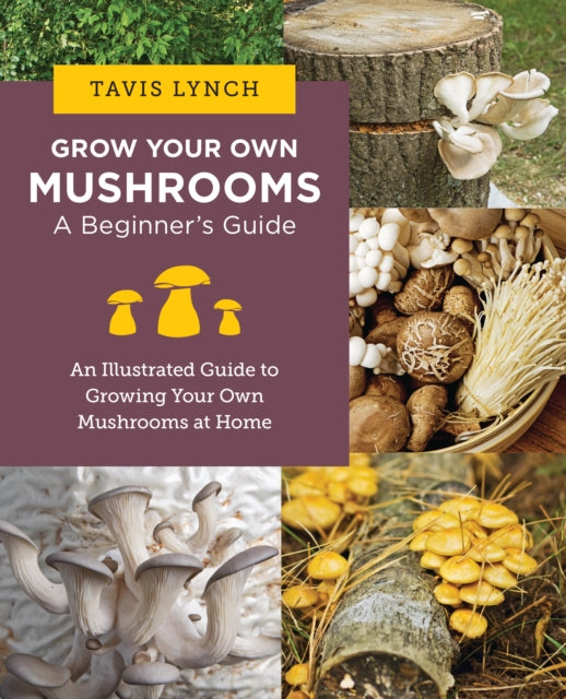 Grow Your Own Mushrooms: A Beginner's Guide - Book from The Bookhouse Broughty Ferry- Just £12.99! Shop now