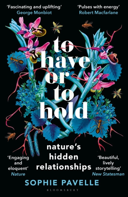 To Have or To Hold - Book from The Bookhouse Broughty Ferry- Just £10.99! Shop now
