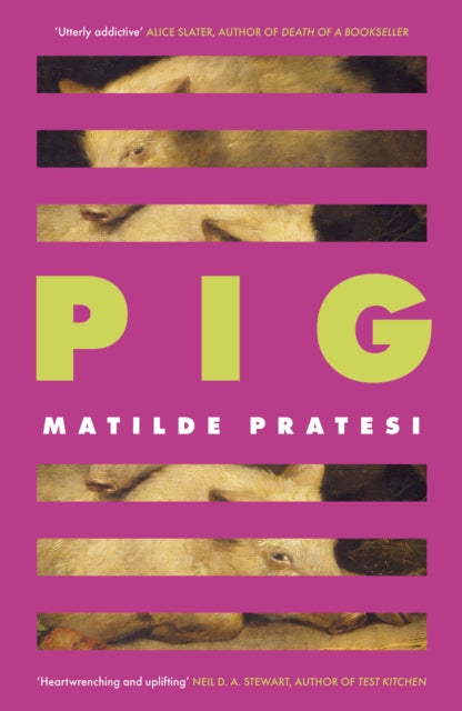 Pig - Book from The Bookhouse Broughty Ferry- Just £16.99! Shop now