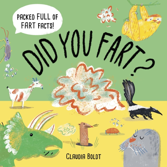 Did You Fart? - Book from The Bookhouse Broughty Ferry- Just £7.99! Shop now