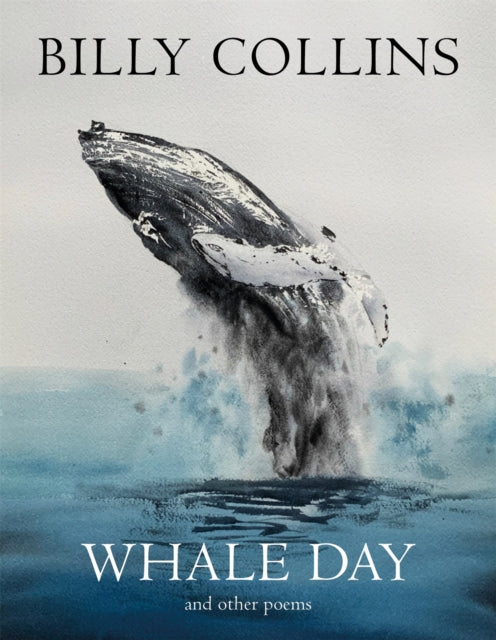 Whale Day - Book from The Bookhouse Broughty Ferry- Just £10.99! Shop now