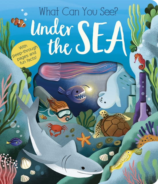 What Can You See? Under the Sea - Book from The Bookhouse Broughty Ferry- Just £8.99! Shop now