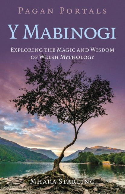 Pagan Portals Y Mabinogi - Book from The Bookhouse Broughty Ferry- Just £9.99! Shop now