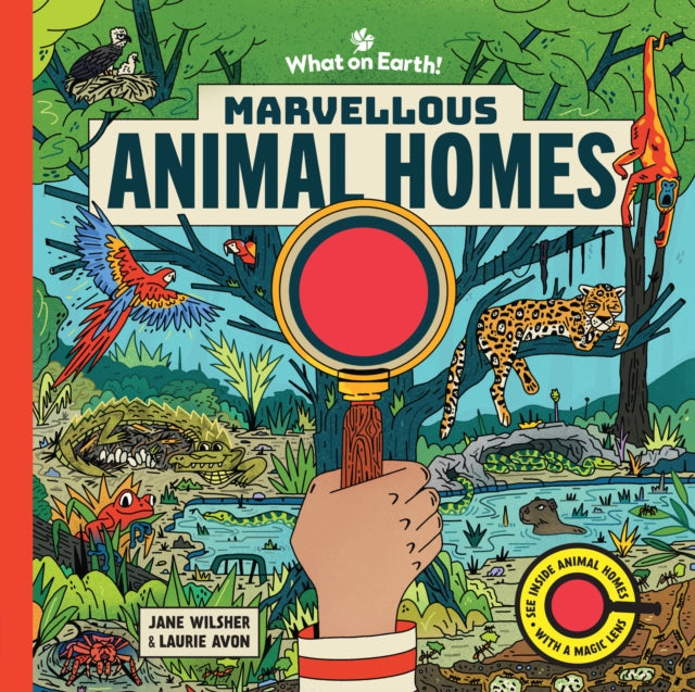 Marvellous Animal Homes : A Magic Lens Book - Book from The Bookhouse Broughty Ferry- Just £14.99! Shop now