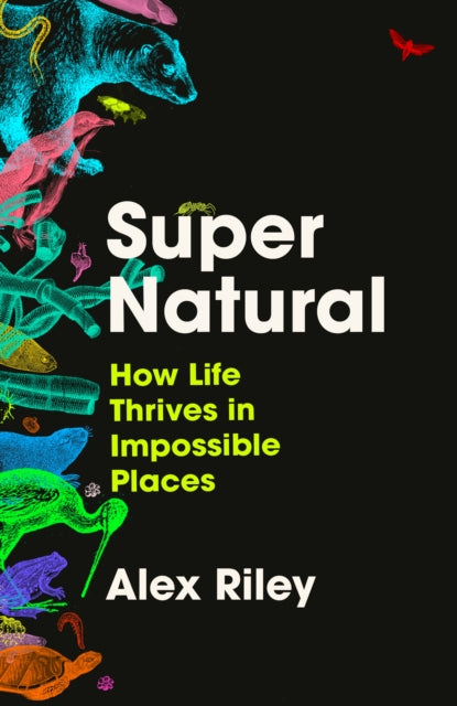 Super Natural - Book from The Bookhouse Broughty Ferry- Just £22! Shop now