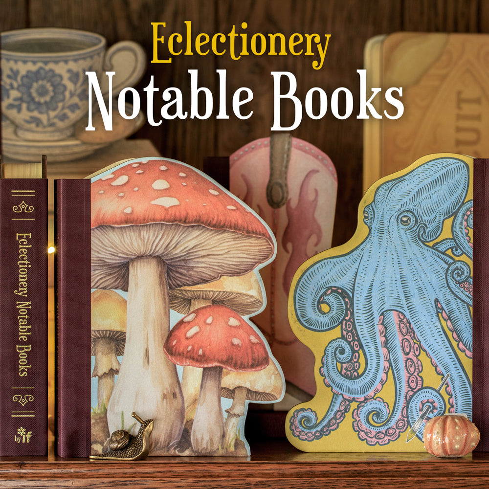 BUTTERFLY - ECLECTIONERY NOTABLE BOOKS - from The Bookhouse Broughty Ferry- Just £19.99! Shop now