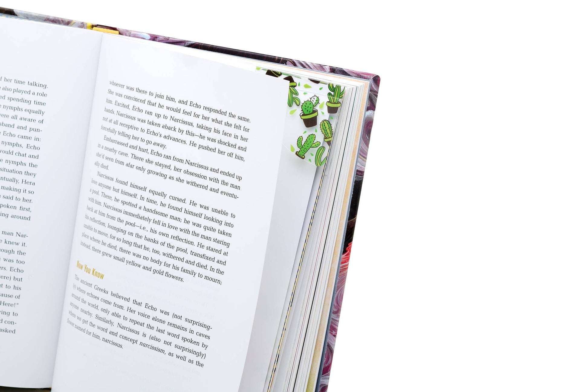 Easymark Bookmark -  from The Bookhouse Broughty Ferry- Just £3.99! Shop now