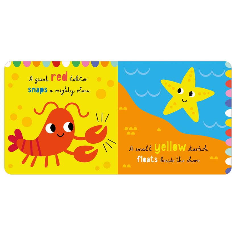 Little Stars Splish Splash Little Turtle - Book from The Bookhouse Broughty Ferry- Just £6.99! Shop now