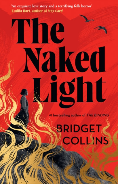 The Naked Light - Book from The Bookhouse Broughty Ferry- Just £18.99! Shop now