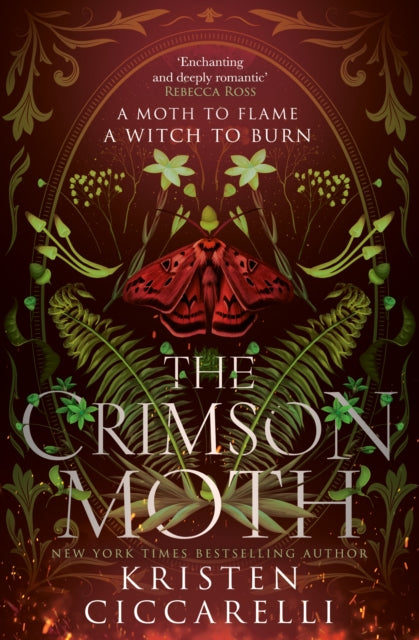 The Crimson Moth : Book 1 - Book from The Bookhouse Broughty Ferry- Just £9.99! Shop now