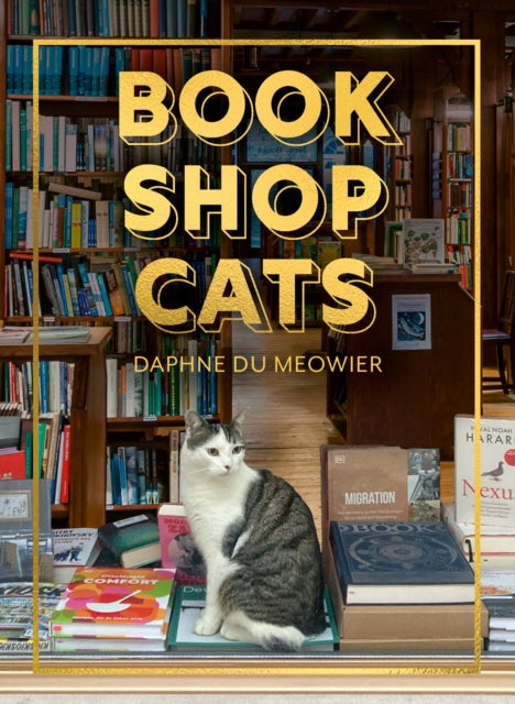 Bookshop Cats - Book from The Bookhouse Broughty Ferry- Just £10.99! Shop now