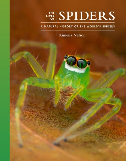 The Lives of Spiders - Book from The Bookhouse Broughty Ferry- Just £30! Shop now