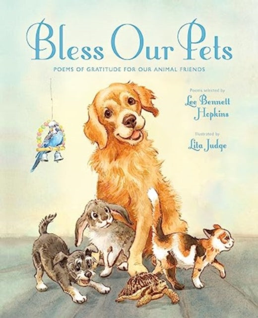 Bless Our Pets - Book from The Bookhouse Broughty Ferry- Just £14.99! Shop now