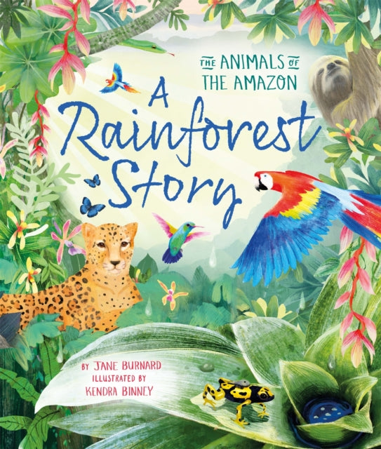 A Rainforest Story : The Animals of the Amazon - Book from The Bookhouse Broughty Ferry- Just £8.99! Shop now