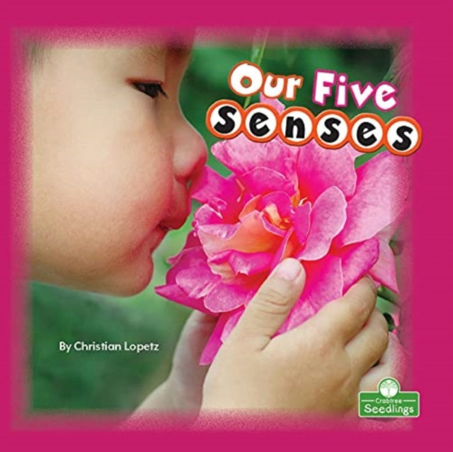 Our Five Senses - Book from The Bookhouse Broughty Ferry- Just £9.99! Shop now