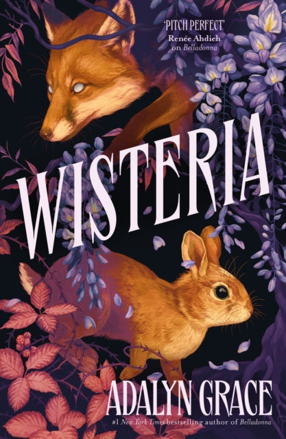 Wisteria - Book from The Bookhouse Broughty Ferry- Just £9.99! Shop now