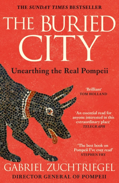The Buried City : The Revelatory New History from the Director of Pompeii - a Sunday Times Bestseller - Book from The Bookhouse Broughty Ferry- Just £10.99! Shop now