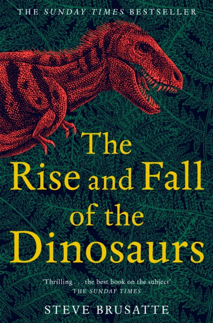 The Rise and Fall of the Dinosaurs - Book from The Bookhouse Broughty Ferry- Just £12.99! Shop now