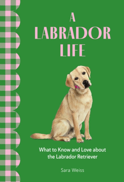 A Labrador Life - Book from The Bookhouse Broughty Ferry- Just £9.99! Shop now