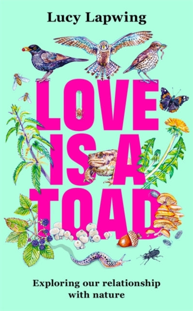 Love Is A Toad - Book from The Bookhouse Broughty Ferry- Just £18.99! Shop now