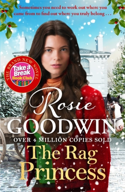 The Rag Princess - Book from The Bookhouse Broughty Ferry- Just £9.99! Shop now