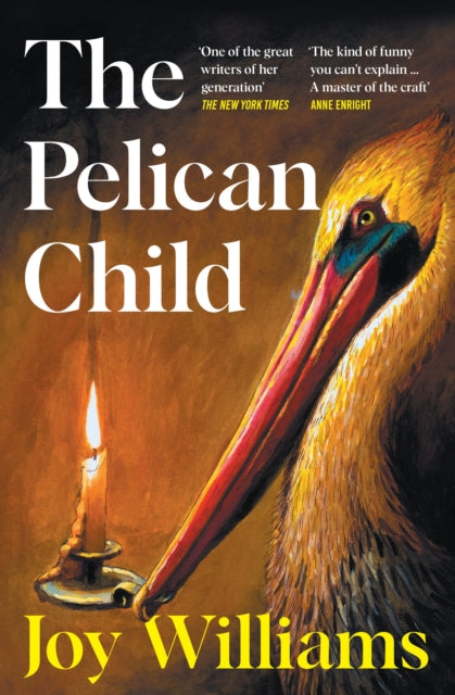 The Pelican Child - Book from The Bookhouse Broughty Ferry- Just £12.99! Shop now