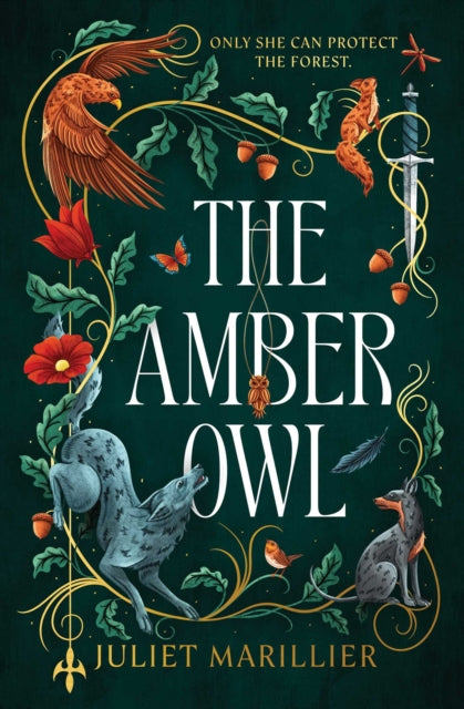 The Amber Owl : Volume 1 - Book from The Bookhouse Broughty Ferry- Just £10.99! Shop now