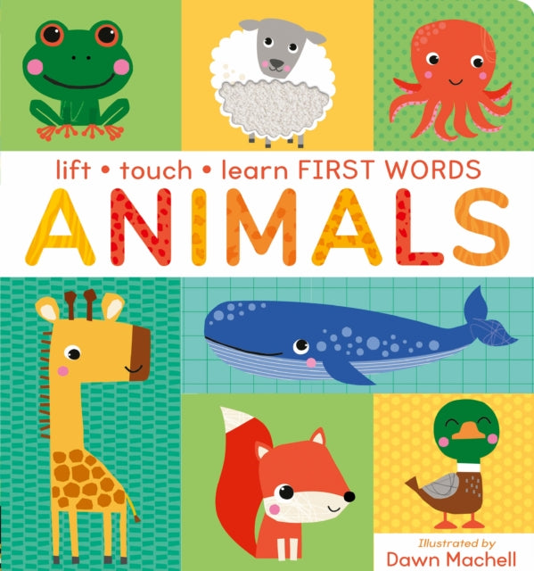 Lift, Touch Learn First Words: Animals - Book from The Bookhouse Broughty Ferry- Just £9.99! Shop now