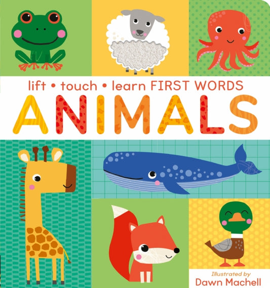 Lift, Touch Learn First Words: Animals - Book from The Bookhouse Broughty Ferry- Just £9.99! Shop now