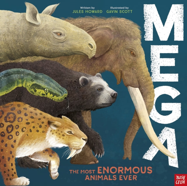 MEGA - Book from The Bookhouse Broughty Ferry- Just £20! Shop now