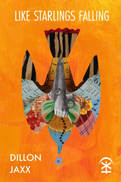 like starlings falling - Book from The Bookhouse Broughty Ferry- Just £11.99! Shop now