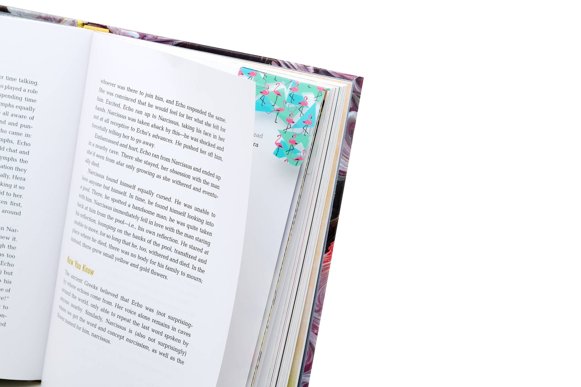 Easymark Bookmark -  from The Bookhouse Broughty Ferry- Just £3.99! Shop now